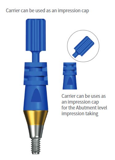 SIS Luna Simple Abutment