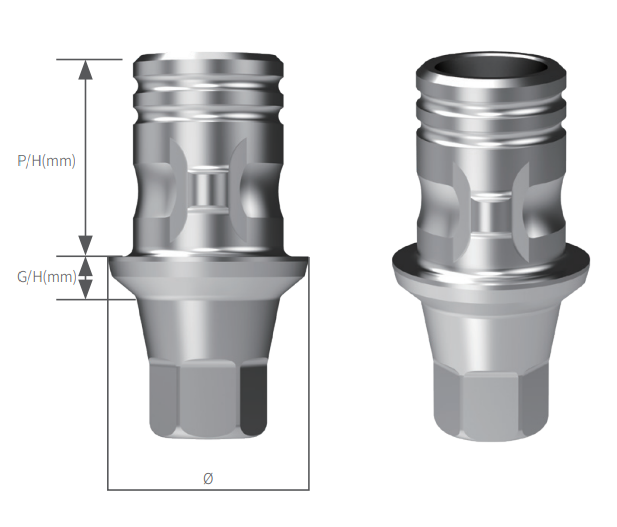 SIS Luna Ti-Base (Internal-Submerged)